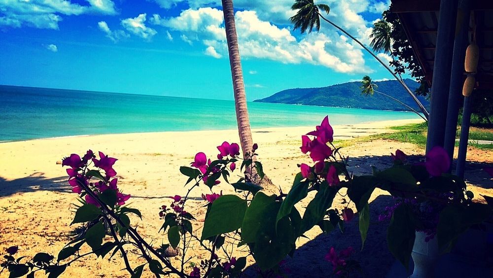 Le Petit Saint Tropez Hotel Khanom Buitenkant foto